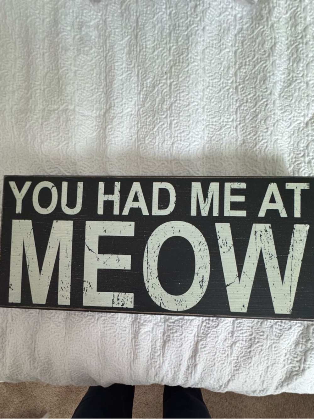 You Had Me At Meow Black & White Wall Sign - Home Accents